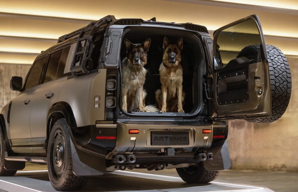 Two German Shepherd dogs sitting in rear cargo area of Artemis Automotive Defender